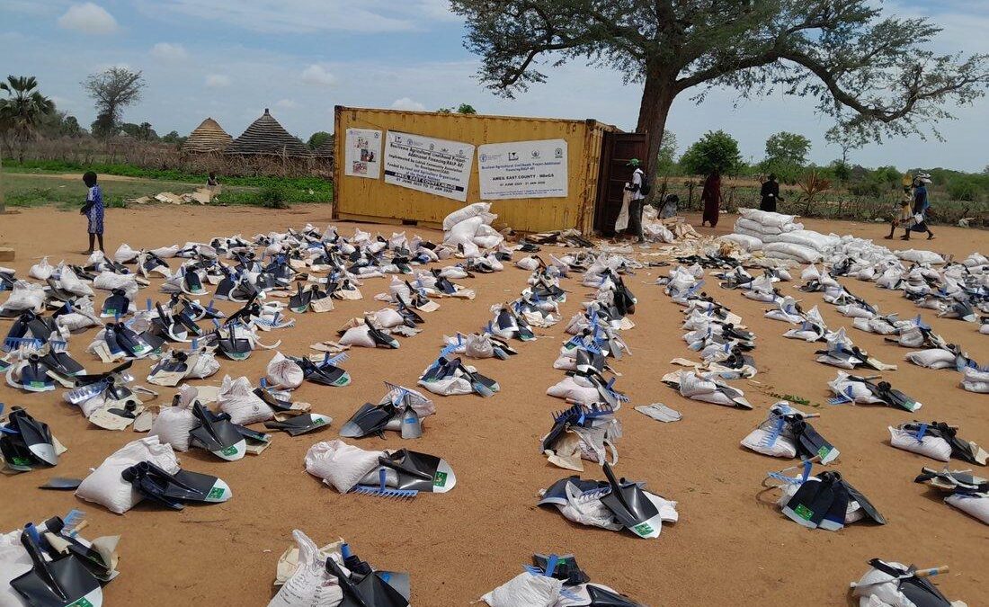 ALDO field teams distributing agricultural inputs in Northern Bahr el Ghazal