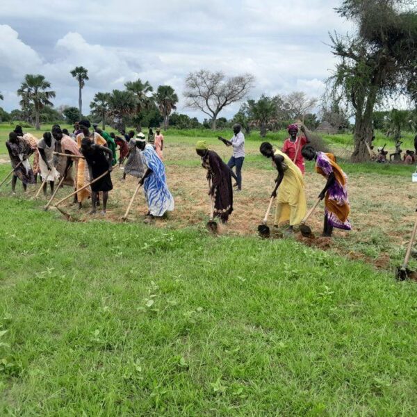 Preparing the land together, hoes in hand