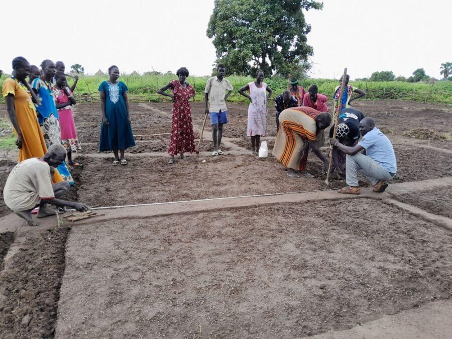 Demarcating cooperative vegetable beds
