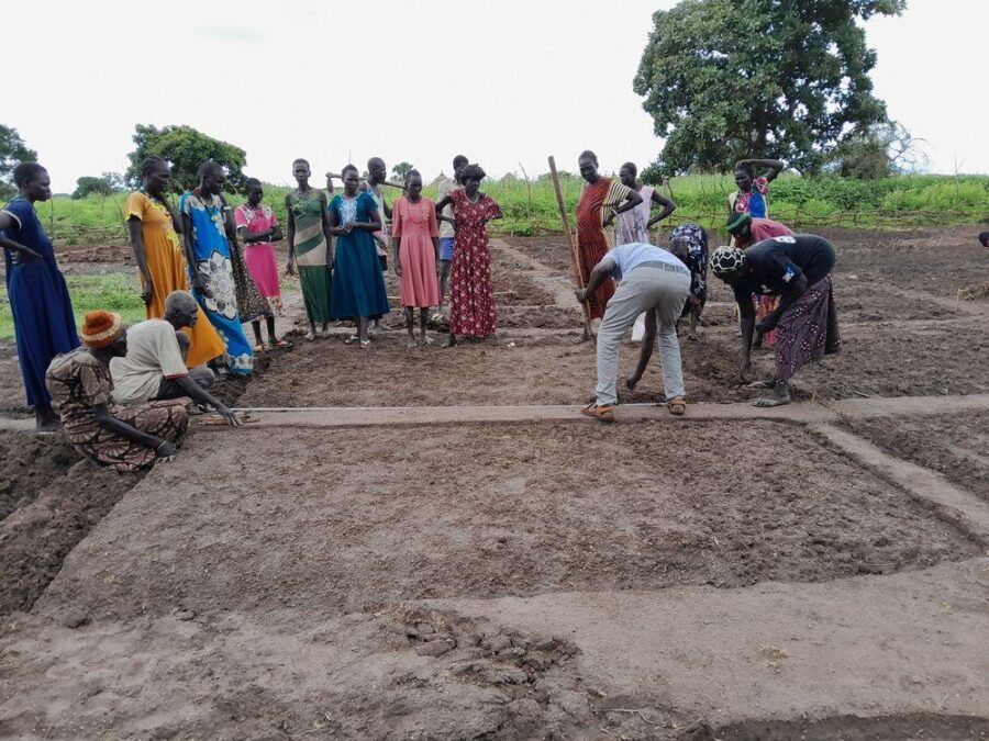 Group work shaping the garden plots
