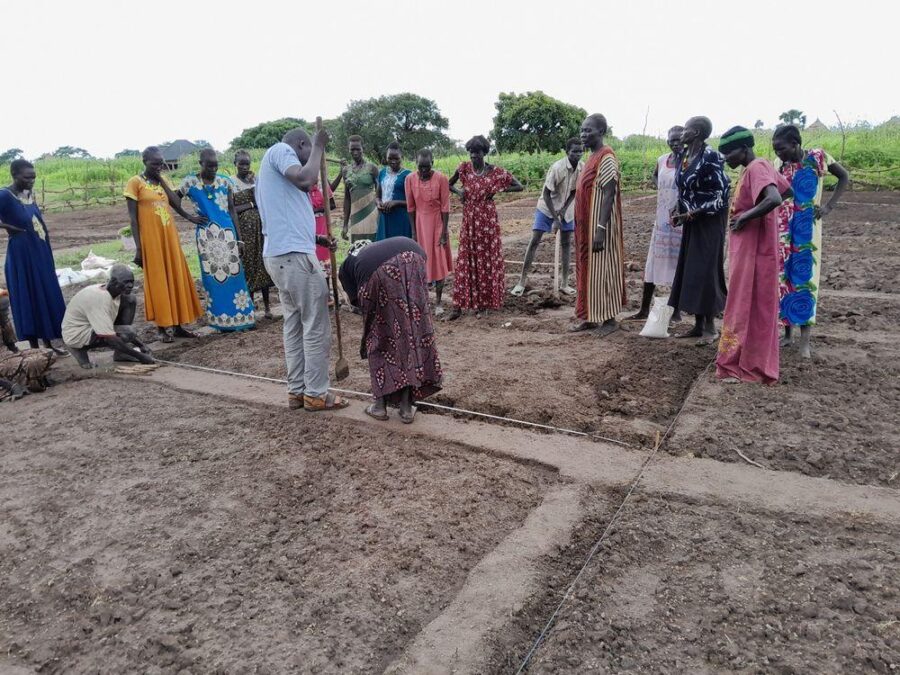 Measuring and laying out new plots